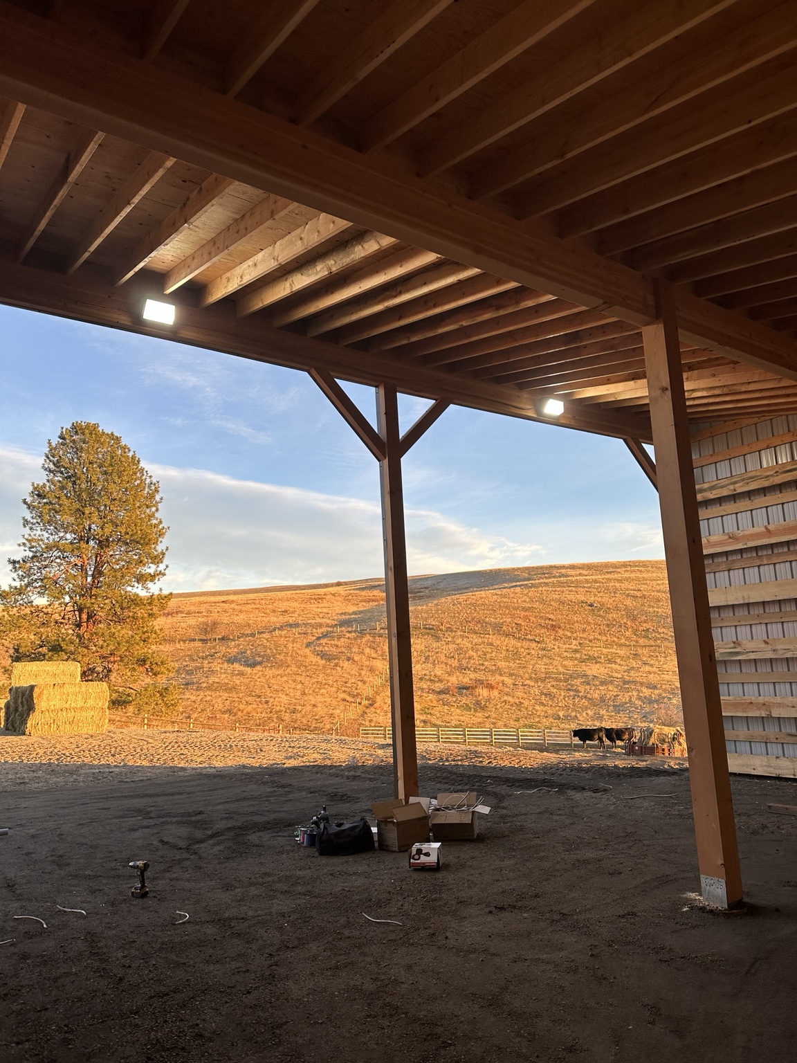 Illuminated rectangular lights beneath the exposed timber roof of an open-sided barn overlooking a field